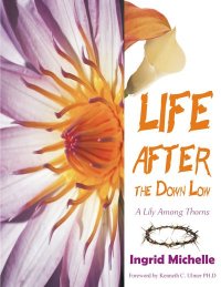 Life After the Down Low Bookcover